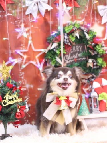 20231224ちゃこちゃん